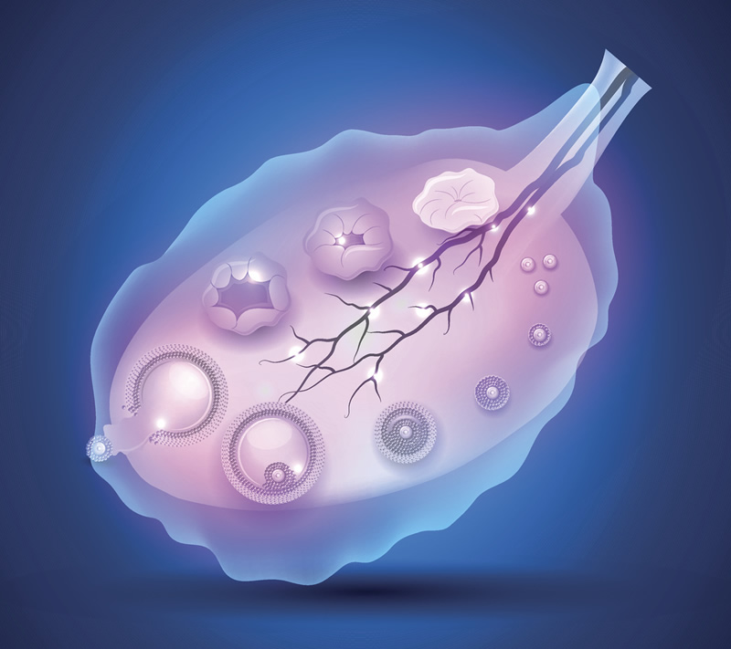 广州试管服务机构名单一览，试管医院全面对比